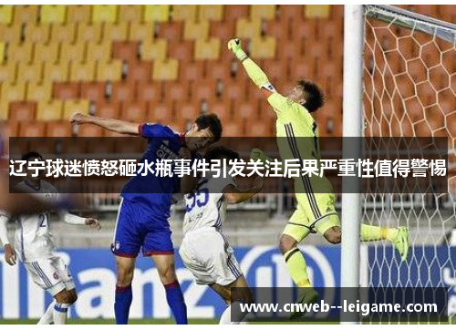 辽宁球迷愤怒砸水瓶事件引发关注后果严重性值得警惕