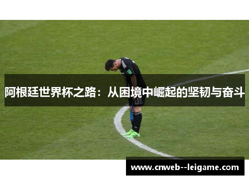 阿根廷世界杯之路：从困境中崛起的坚韧与奋斗