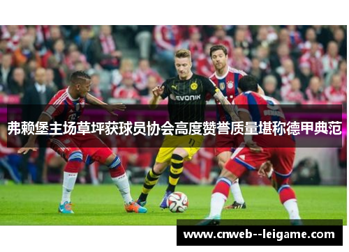 弗赖堡主场草坪获球员协会高度赞誉质量堪称德甲典范