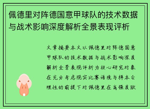 佩德里对阵德国意甲球队的技术数据与战术影响深度解析全景表现评析